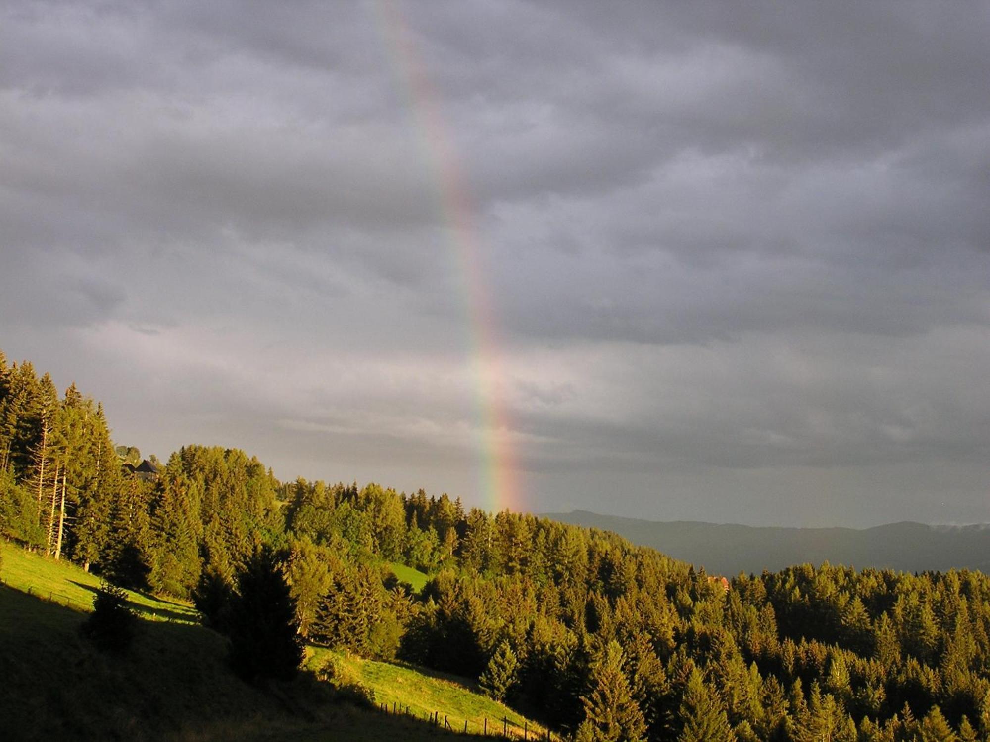 Naturpark Bauernhof Sperl Мариахоф Экстерьер фото